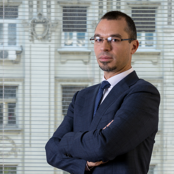 Uroš Ćamilović, Partner u Sektoru za poslovno savetovanje